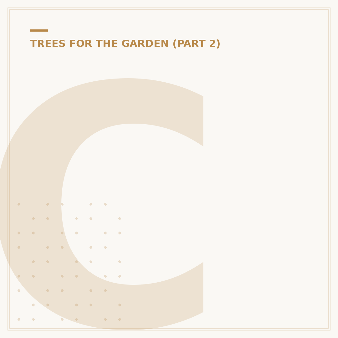 Conifer Tree Varieties: Shapes, Sizes & Uses