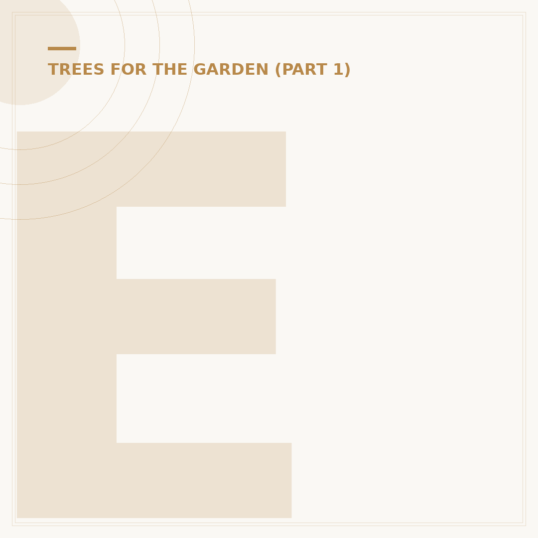 Explore Different Conifer Types for Your Garden