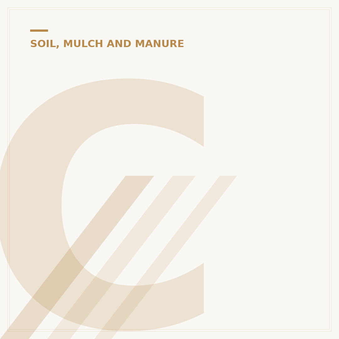 Contaminated Soil Removal: Your Options Explained