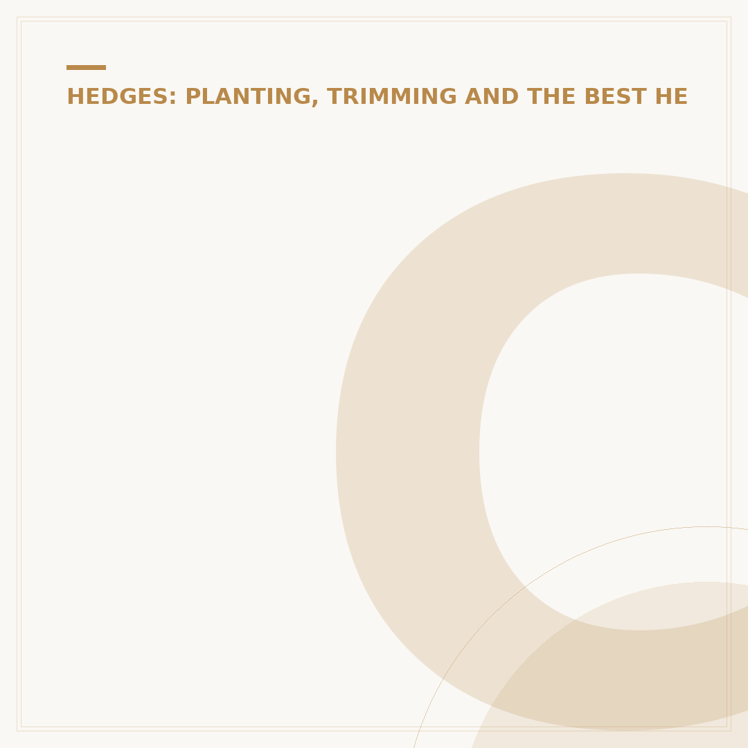 Copper Beech Hedge: Growing, Care, and Alternatives