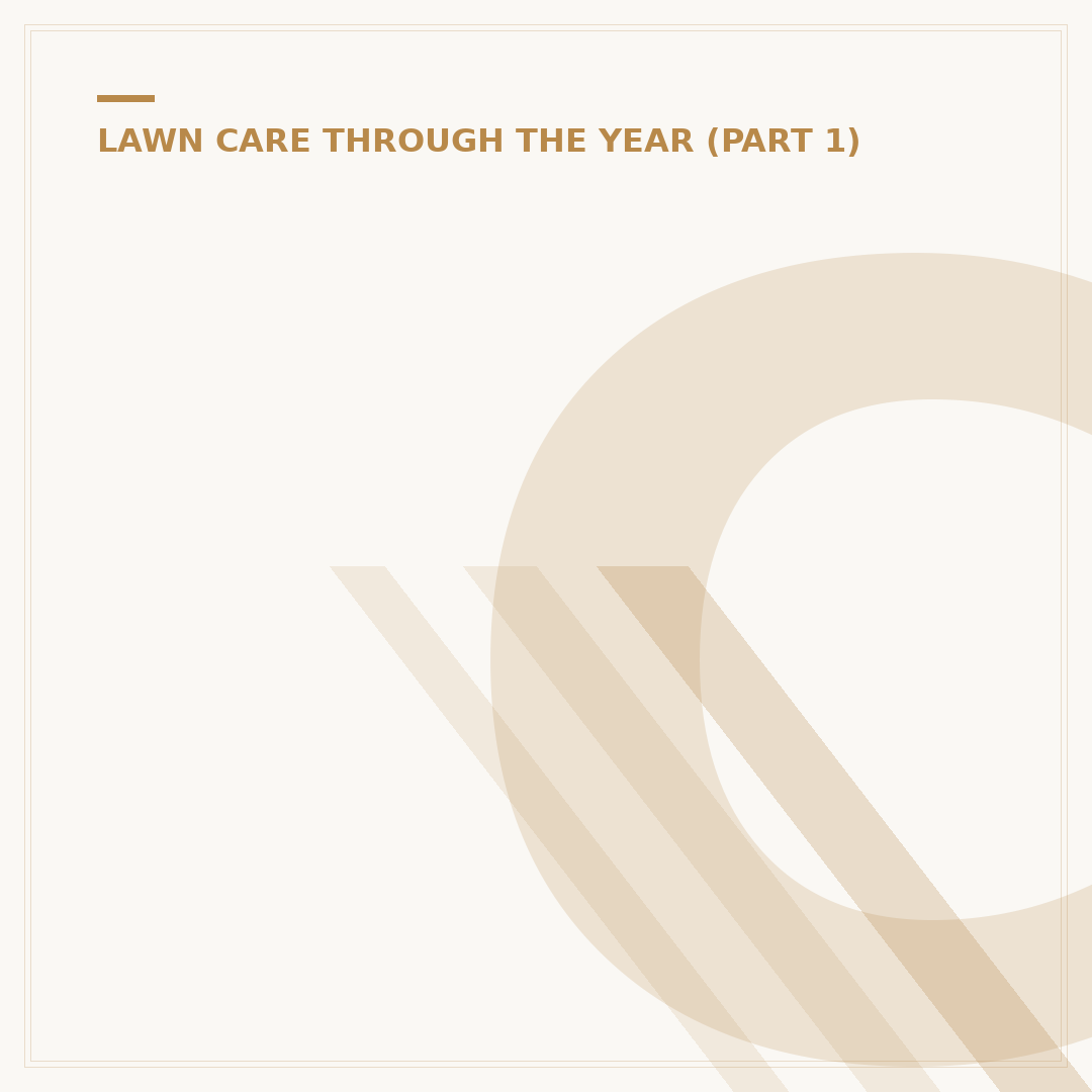 Core Aeration of Lawn: Why & How It Benefits Grass