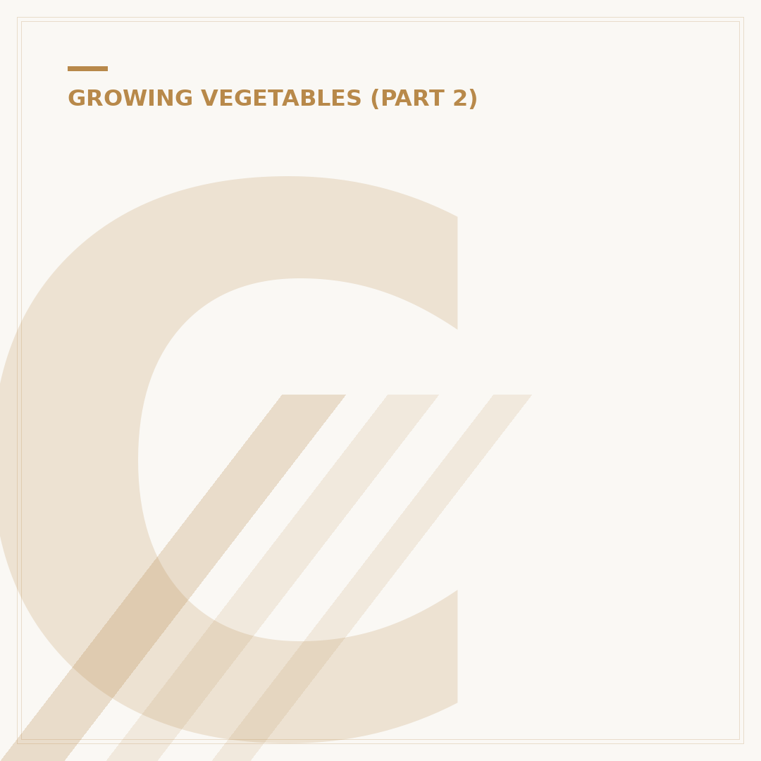 Courgette Yellow Leaves: Causes and How to Remedy
