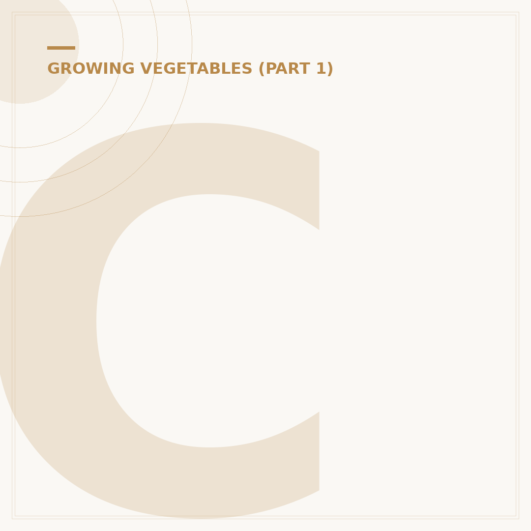 Cucumber Plant Care: Growing Your Own Cucumbers