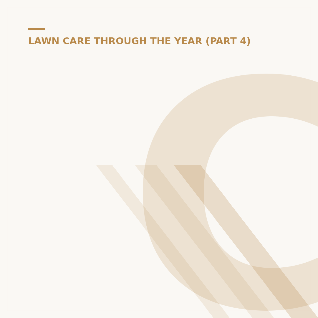 Can You Cut Lawn in Winter? Expert Advice Explained