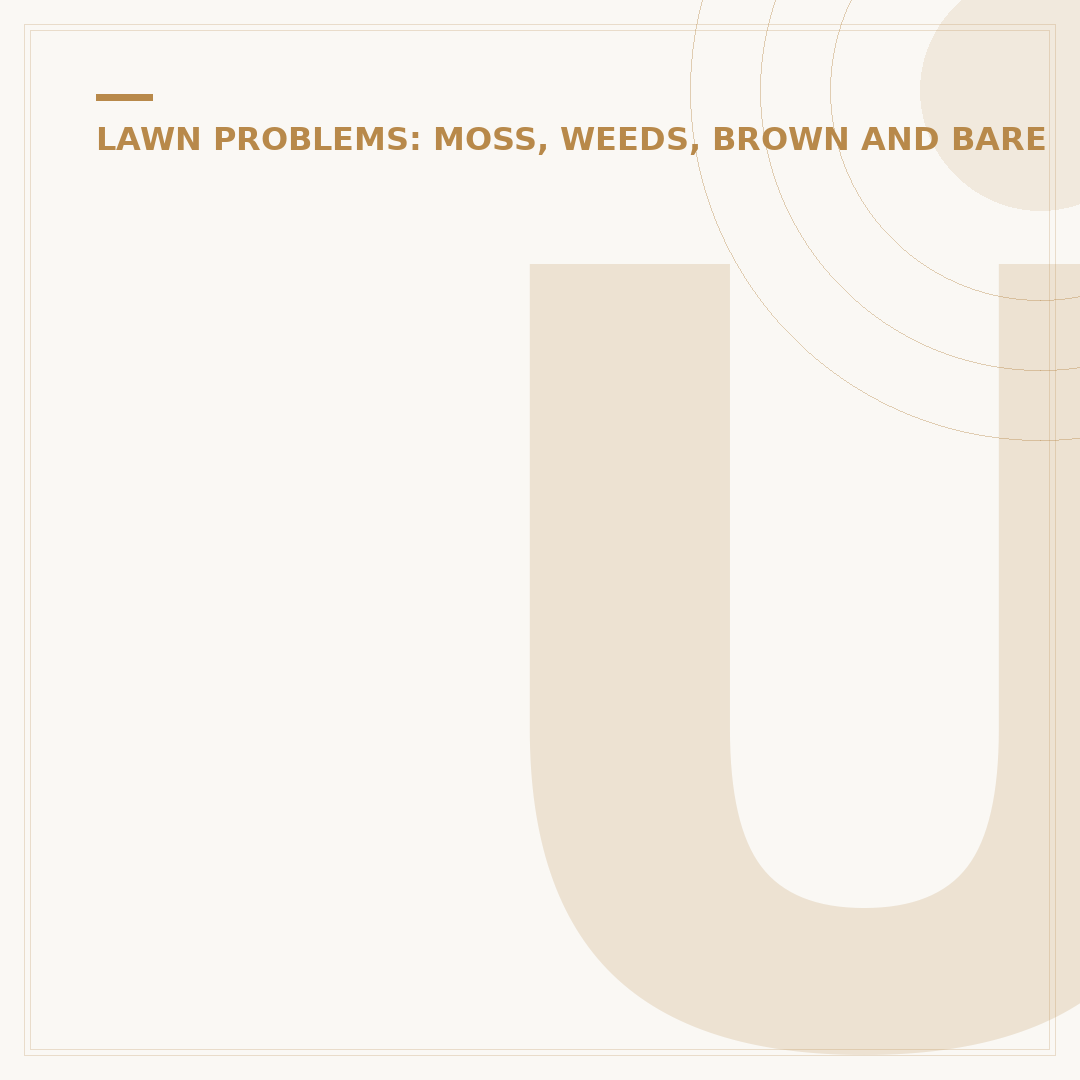 Understanding Dead Patches in Lawn: Causes and Solutions