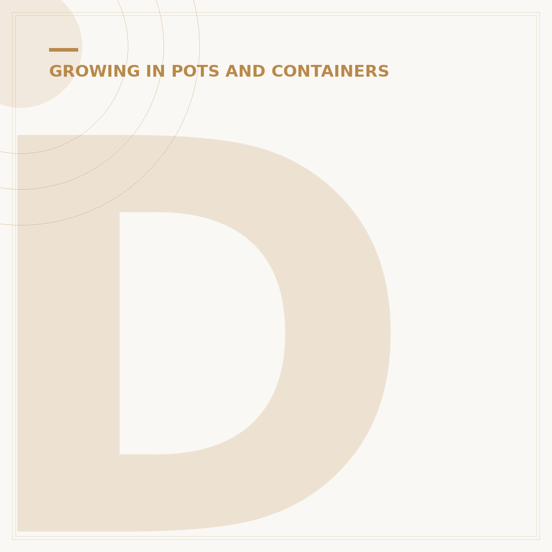 Decorate Plant Pots: Fresh Ideas for Your Greenery