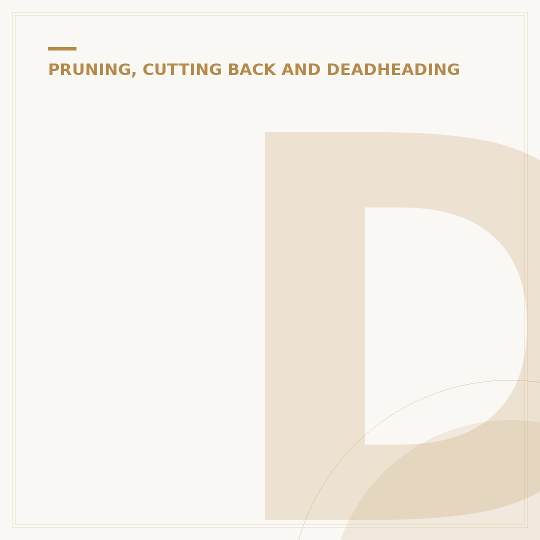 Definition Pruning: When and How to Cut Back Plants