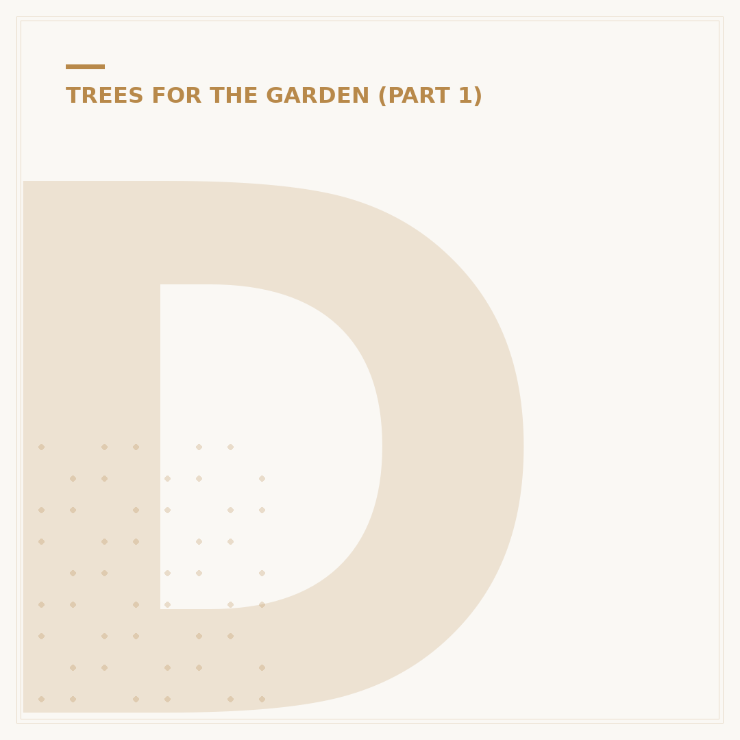 Desi Yew Tree: What It Is and How to Grow It