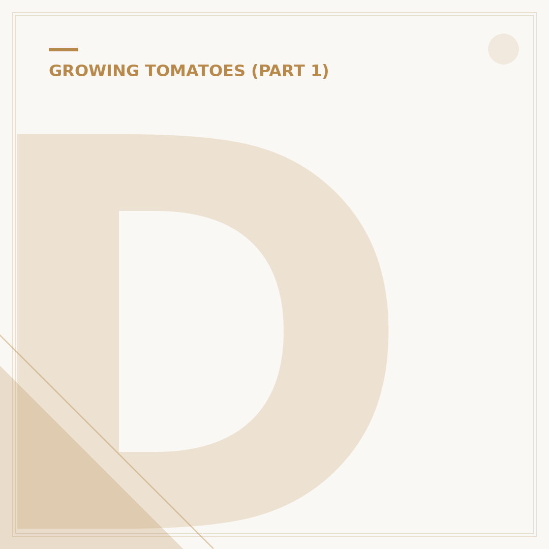 Determinate Tomato Plants: What They Are & How to Grow