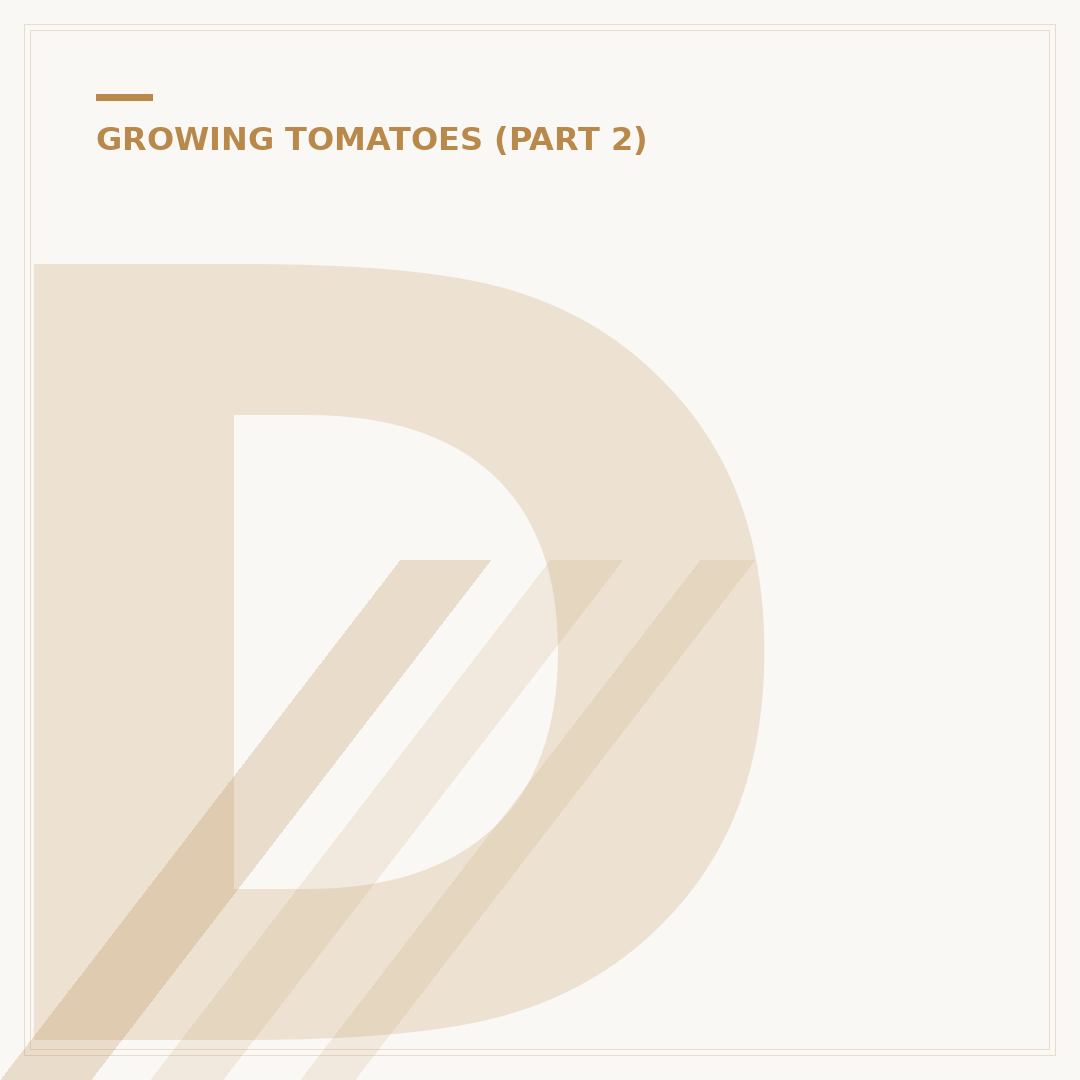 Diseases That Affect Tomato Plants