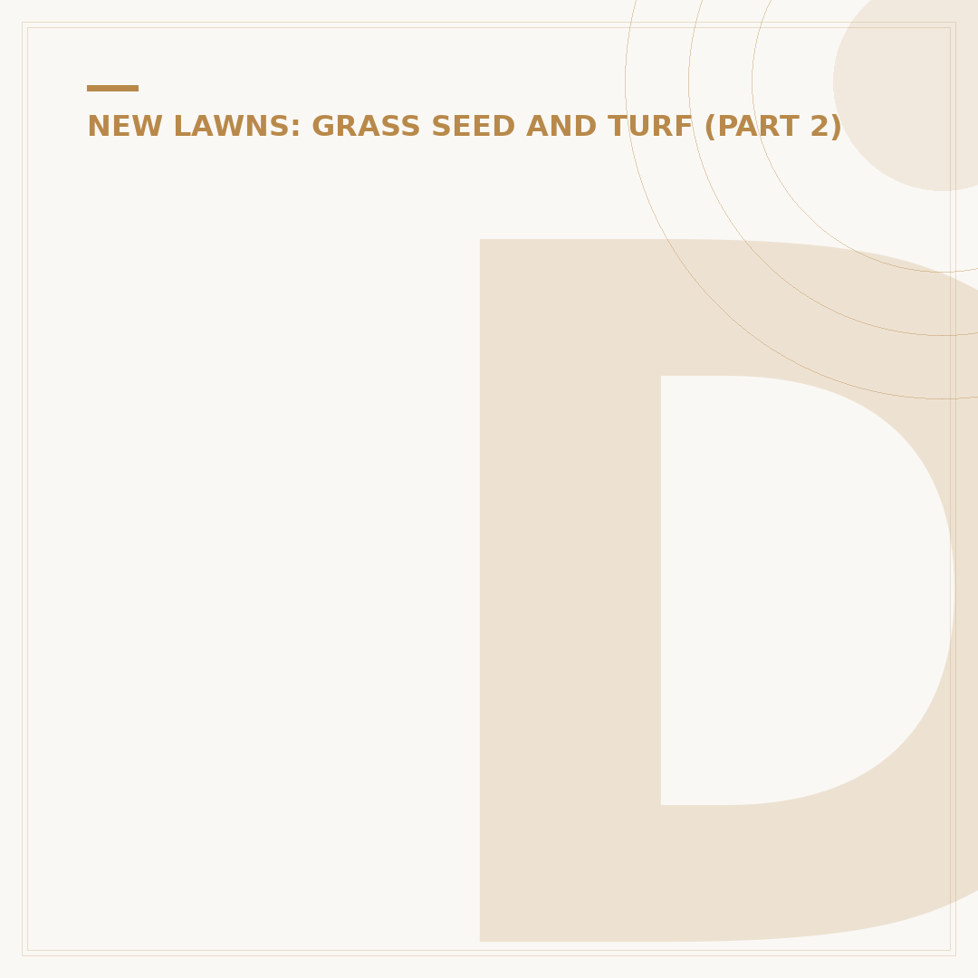 Dog Paw Grass Seed Irritation: Home Care & Treatment