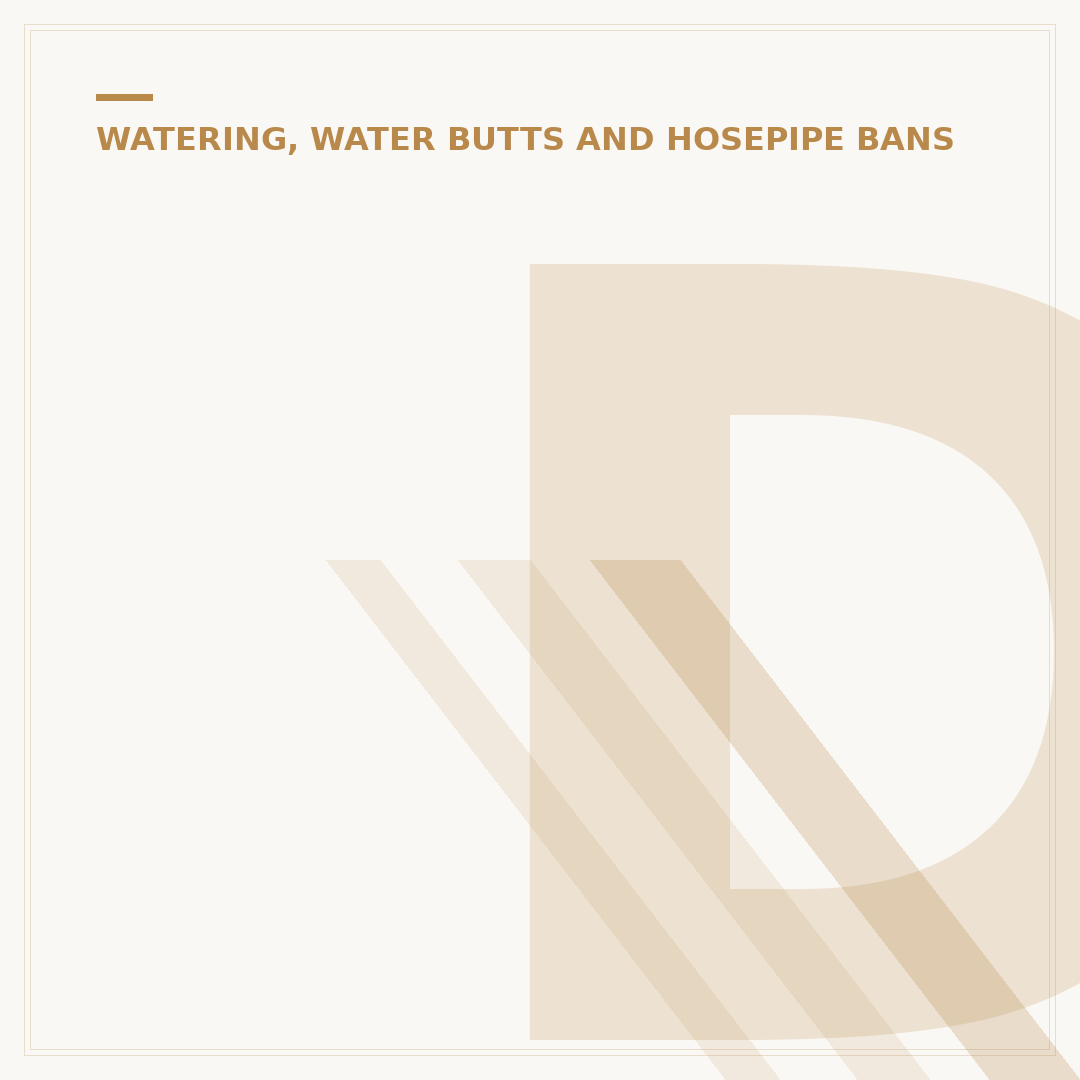 Drought Resistant Plants for Pots: Low Water Garden Choices