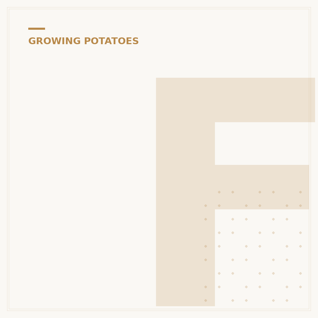 First Early Potatoes Planting Time: When to Sow