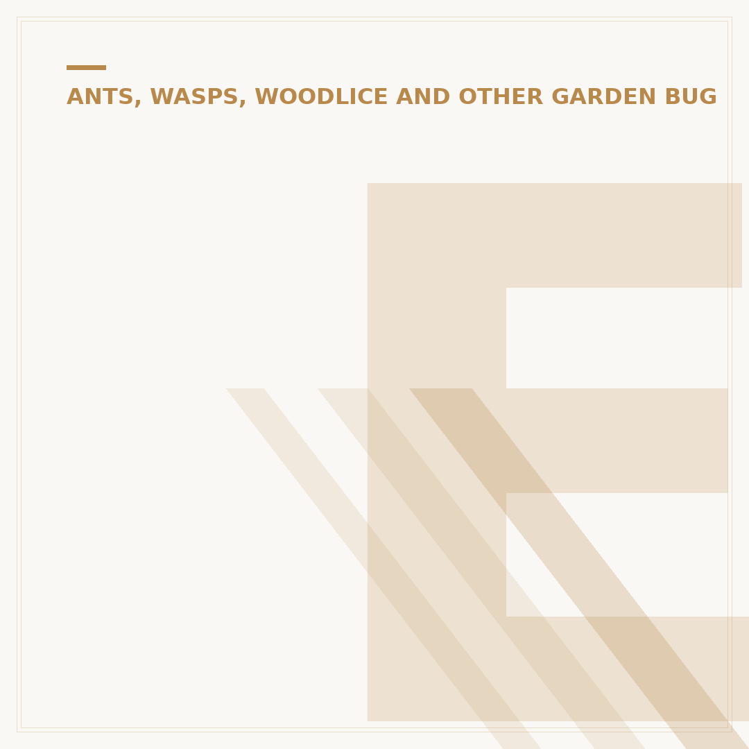 Earwigs: Identification, Habits, and Control Methods