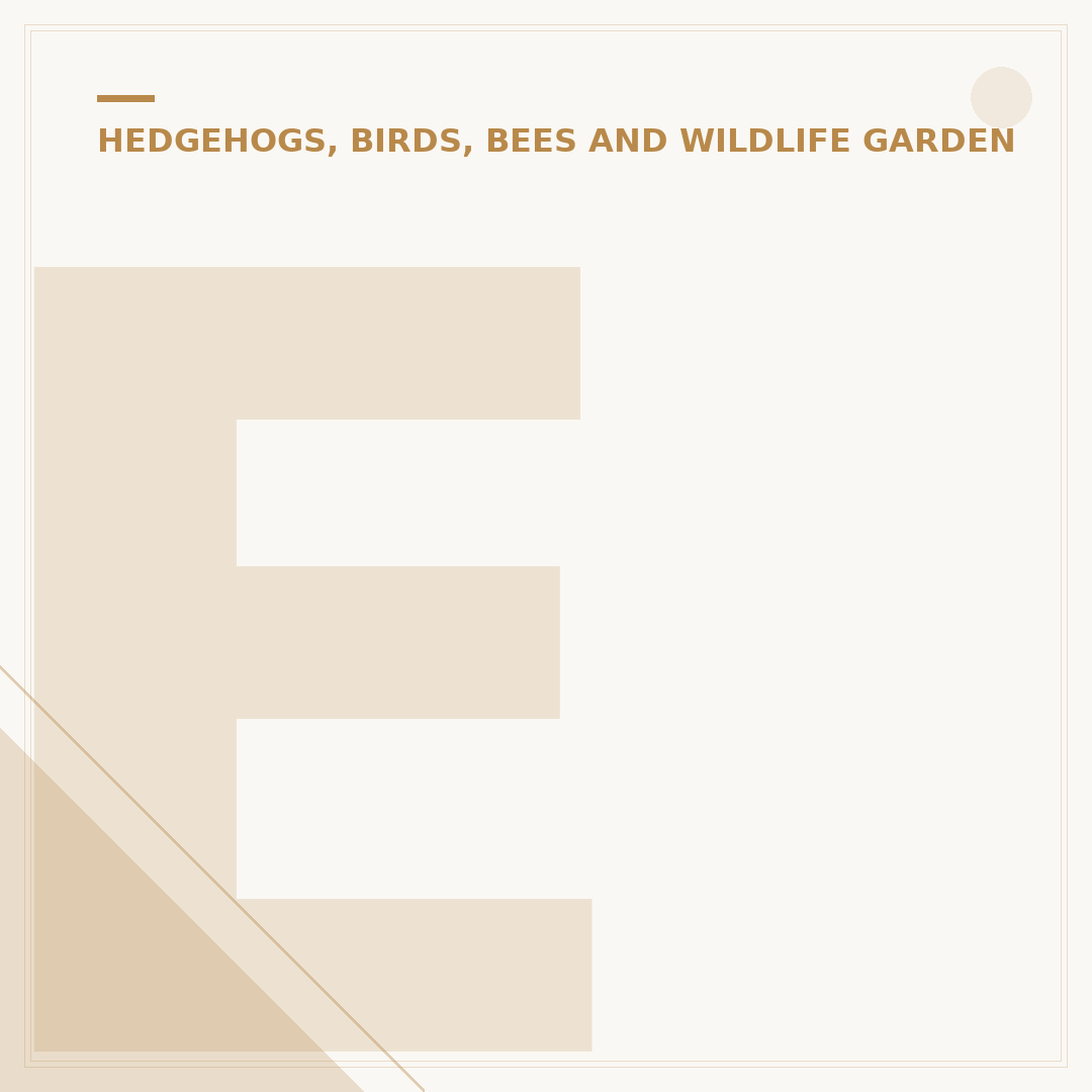 Encourage Hedgehogs Into Your Garden: Food, Water & Shelter