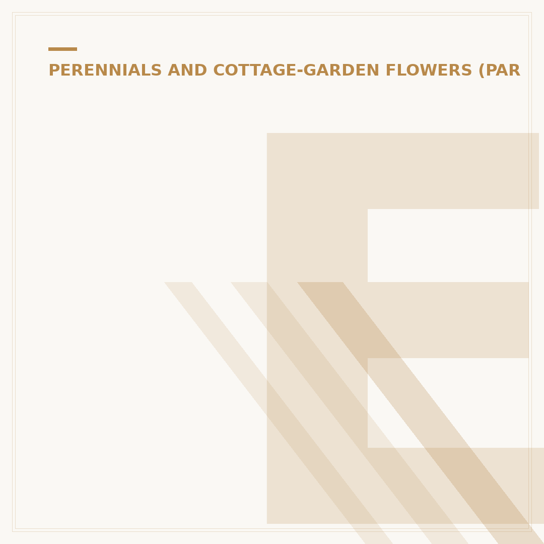 Euphorbia Pulcherrima Flower: Understanding the Bracts