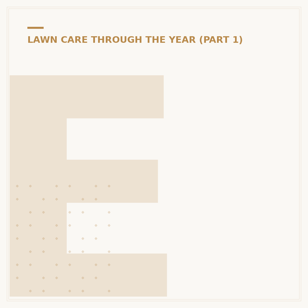 EverEdge Lawn Edging: Types & Alternatives