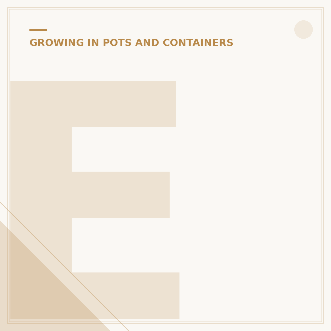 Evergreen Container Plants for Year-Round Colour