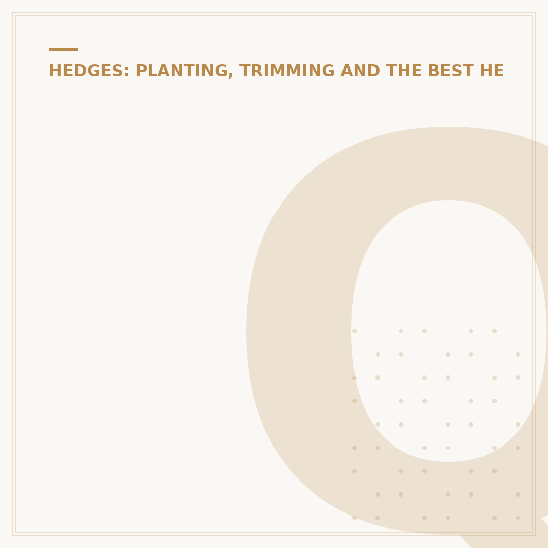 Quick Growing Hedging Plants