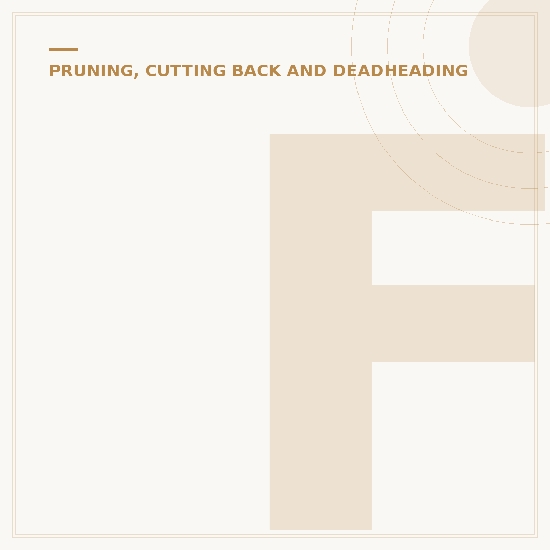 Felco Pruning Scissors: Avoid Common Mistakes