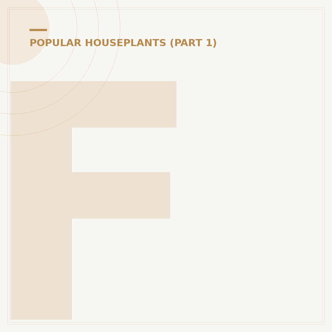 Fiddle Leaf Fig Ficus: Care and Alternatives