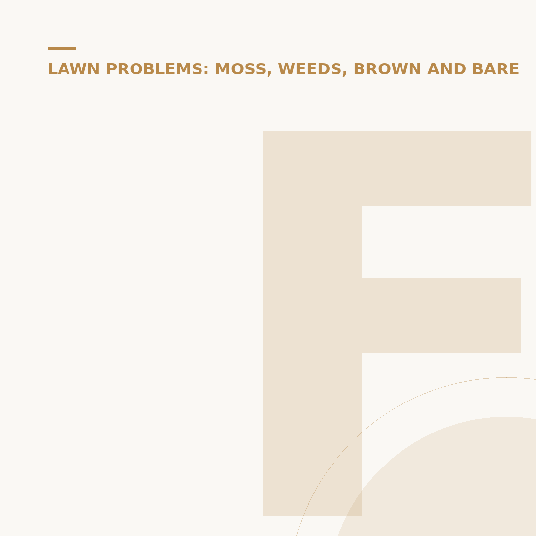 Fixing Patches in Lawn: Common Mistakes and Solutions