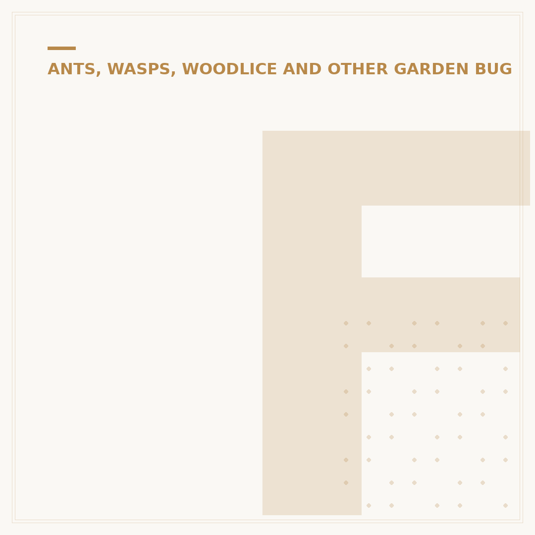 Flying Ants Nest: Identification and Garden Control