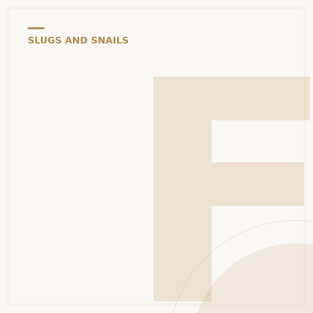 French Slugs: Identification and Control