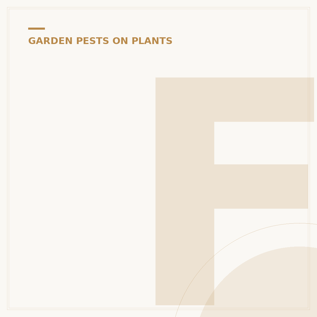 Fungus Gnats: Identification and Control Methods