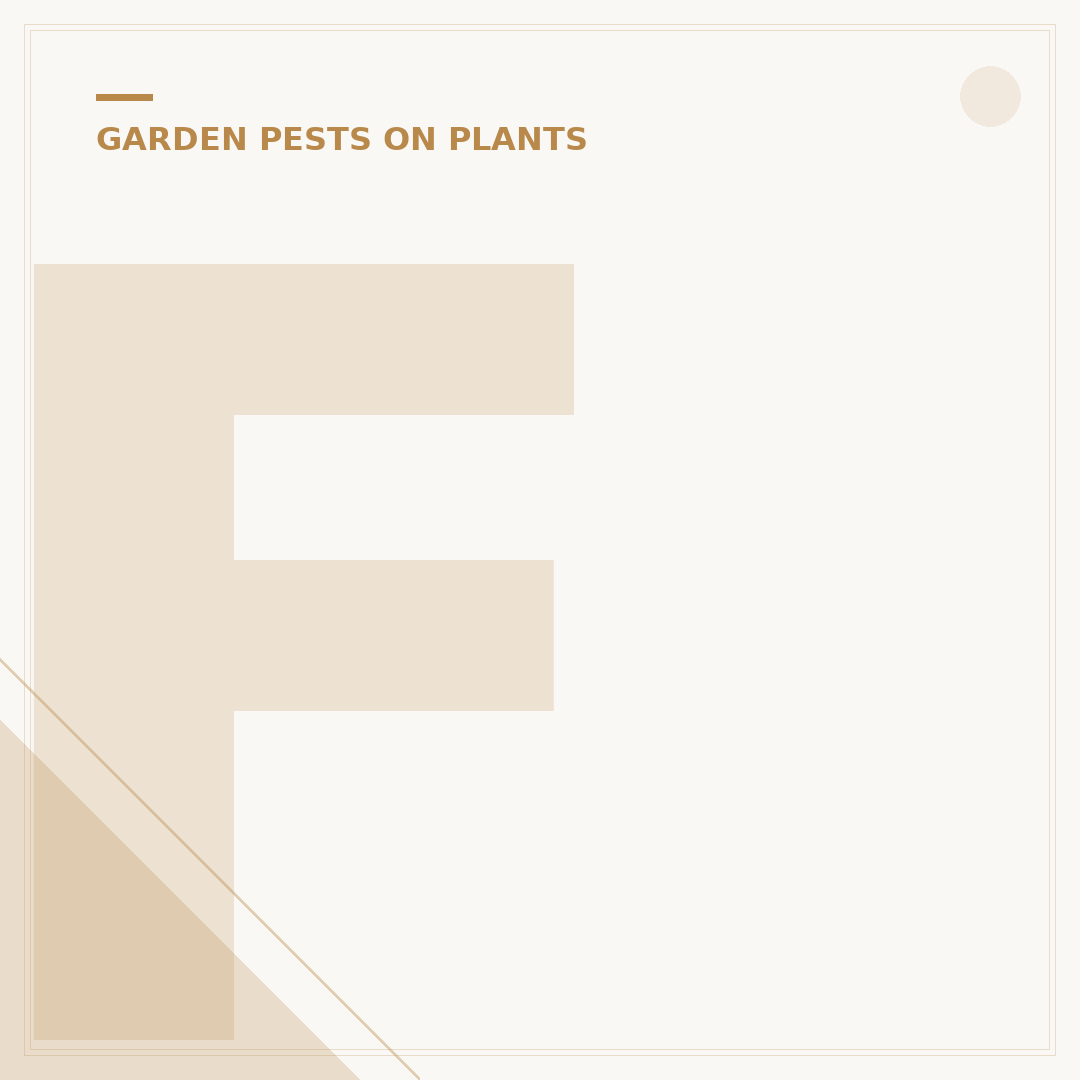 Fungus Gnats in House: Identification, Causes & Control