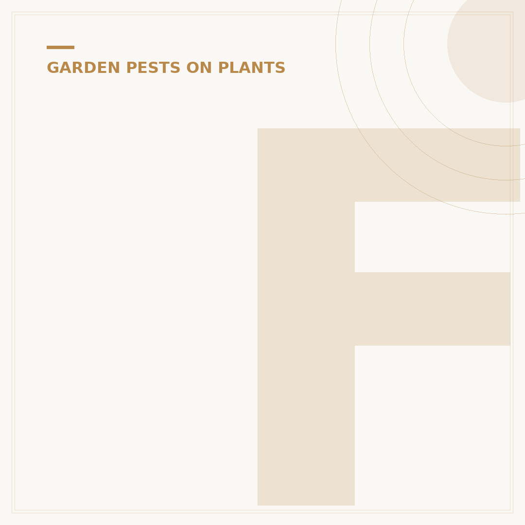 Fungus Gnats Larvae: Identification and Control