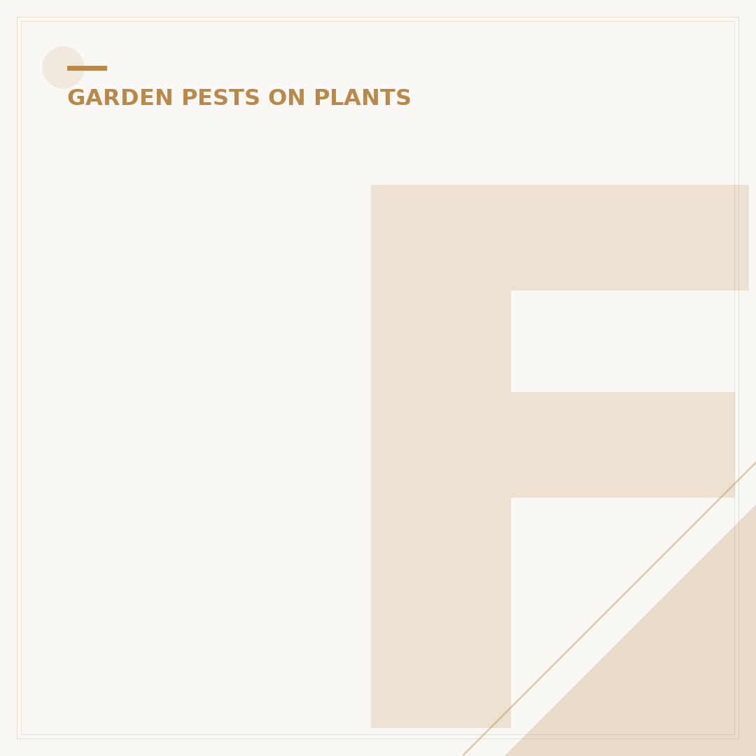 Fungus Gnats Treatment: Effective Control for Plants