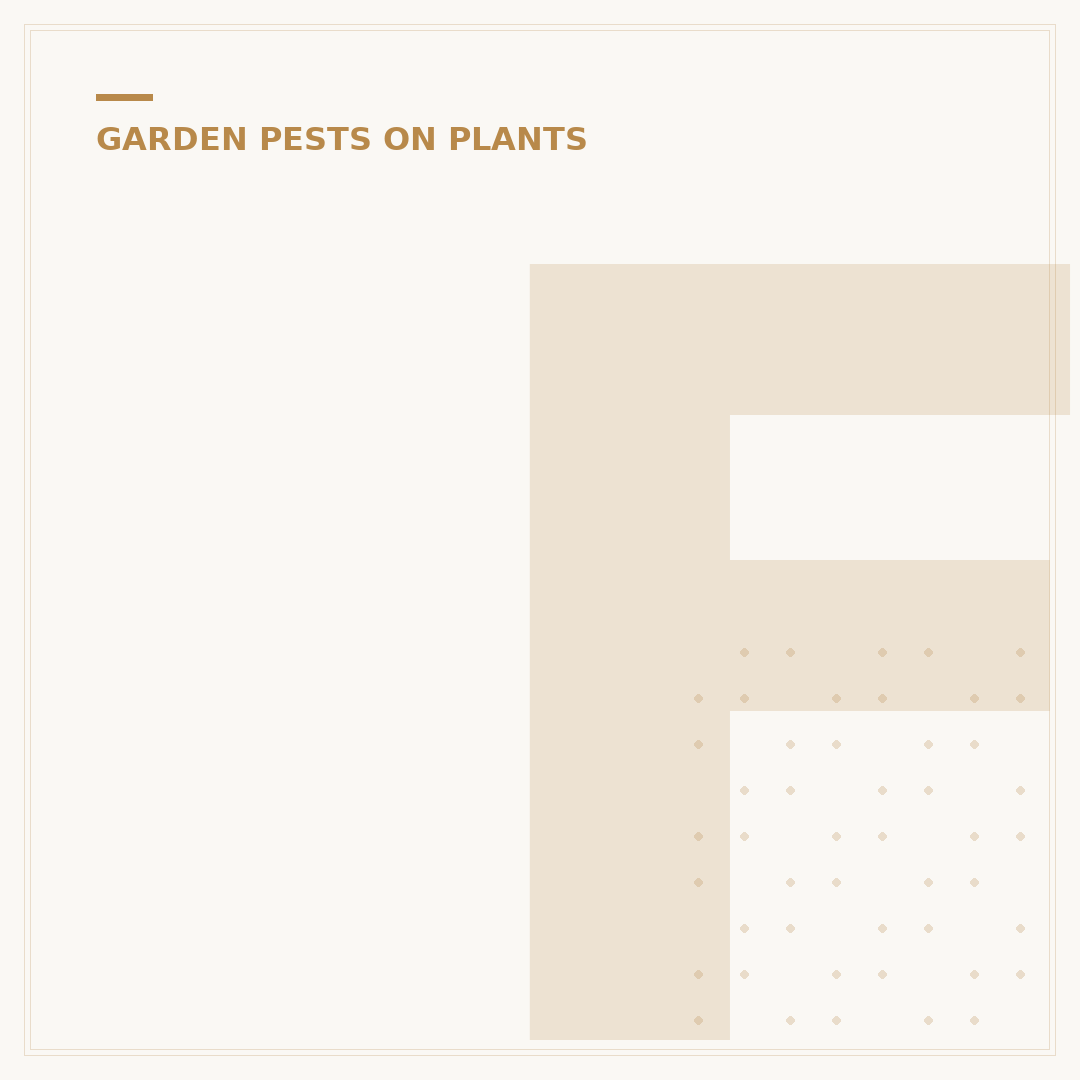 Fungus Gnats vs Thrips: Identifying and Managing Plant Pests