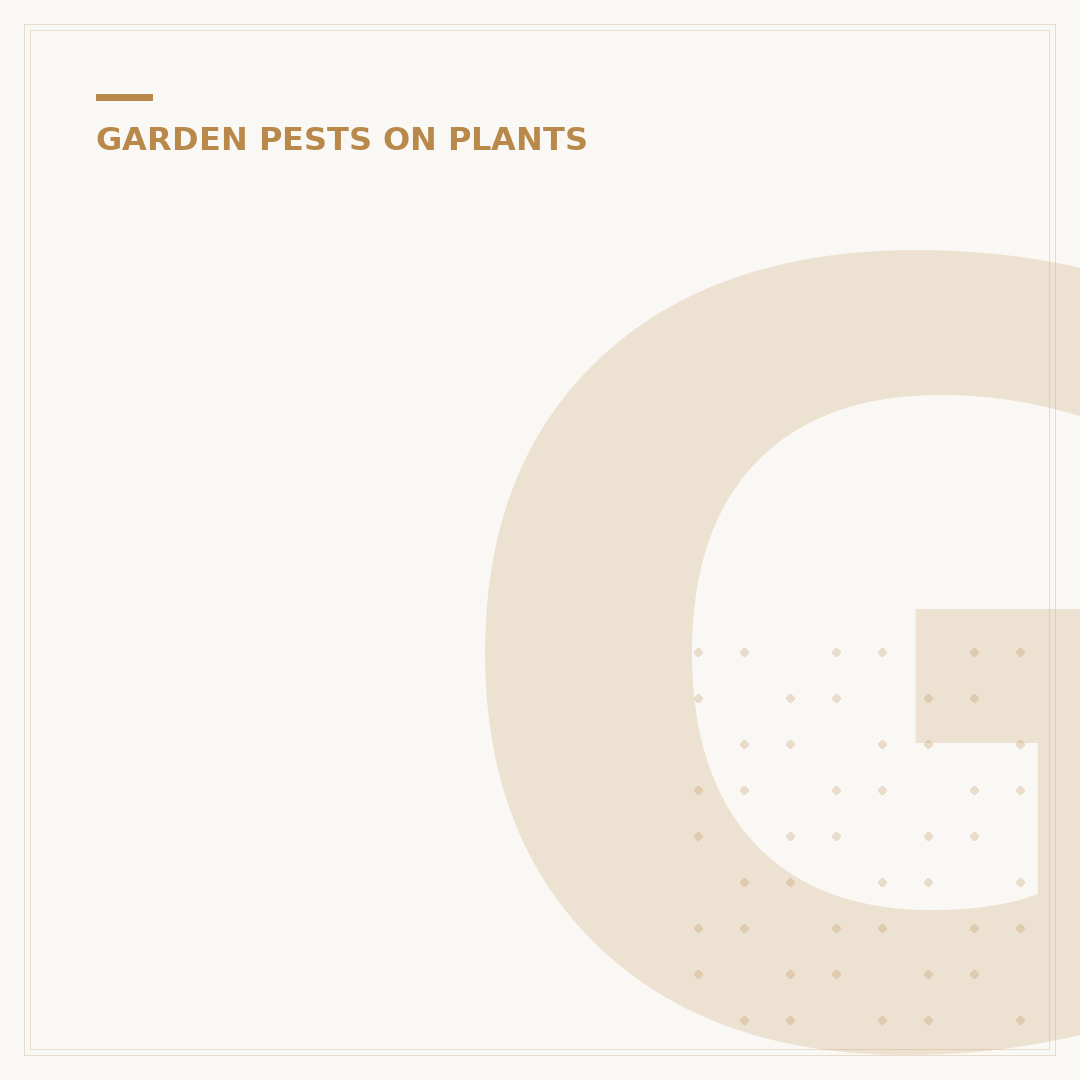 Garden Caterpillars: Identify and Manage Pests