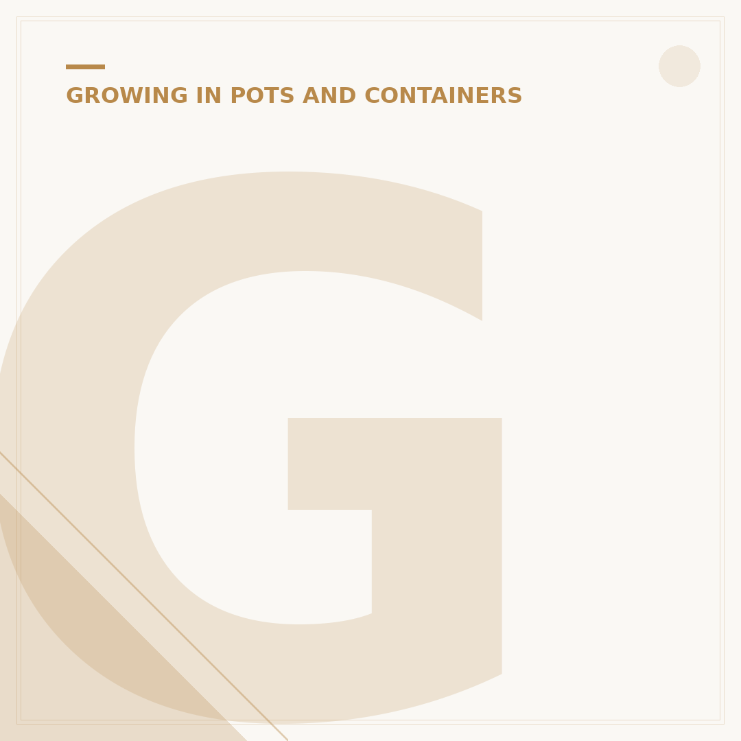 Garden Plant Pot Ideas for Every Outdoor Space