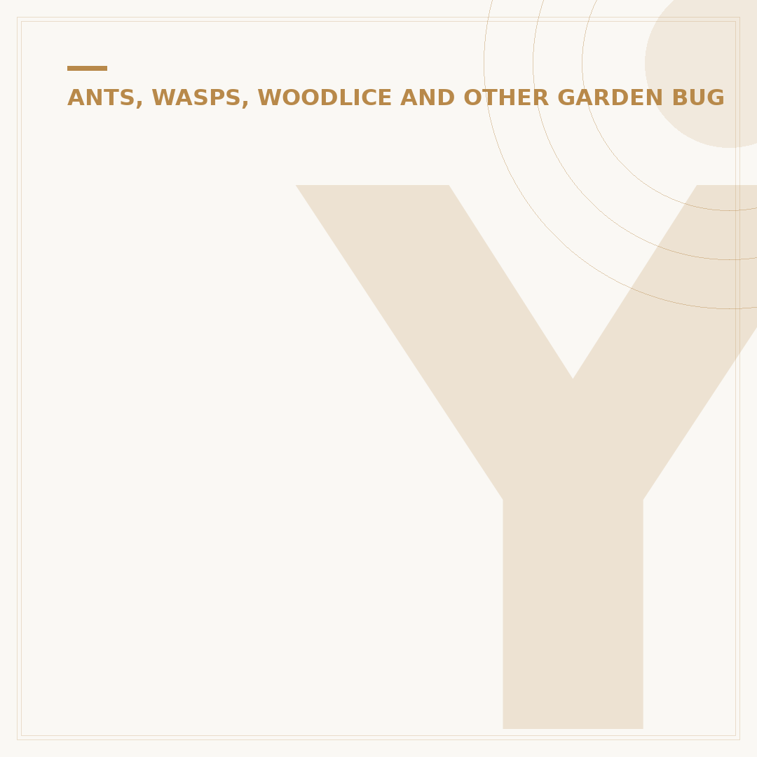 Yellow Back Garden Spider: Identification & Care