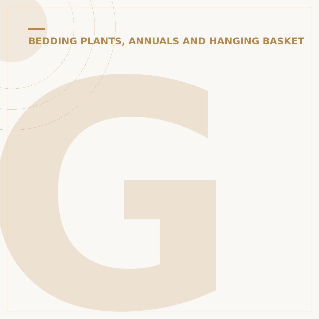 Geranium Perennial Plant: Varieties and Growing