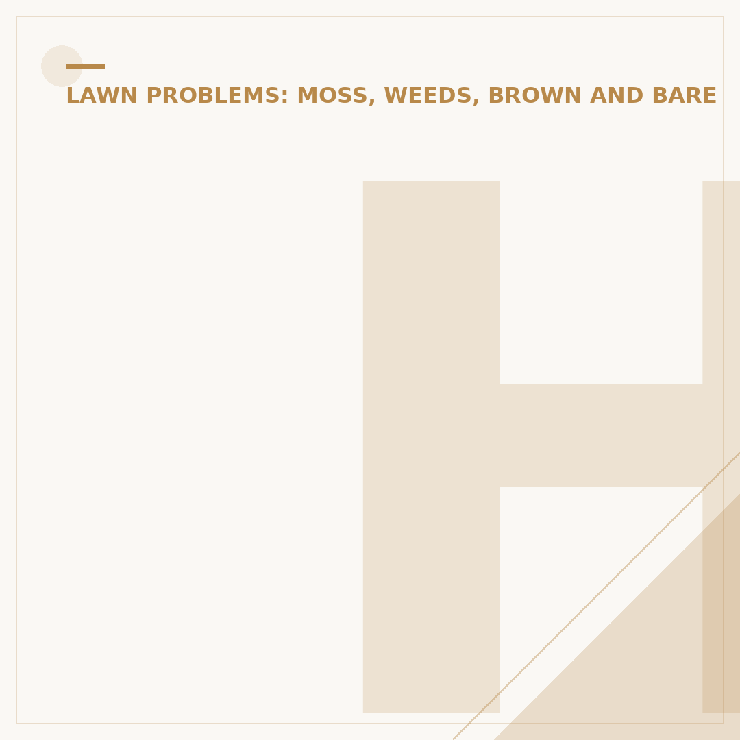 How to Get Rid of Crabgrass in Lawn