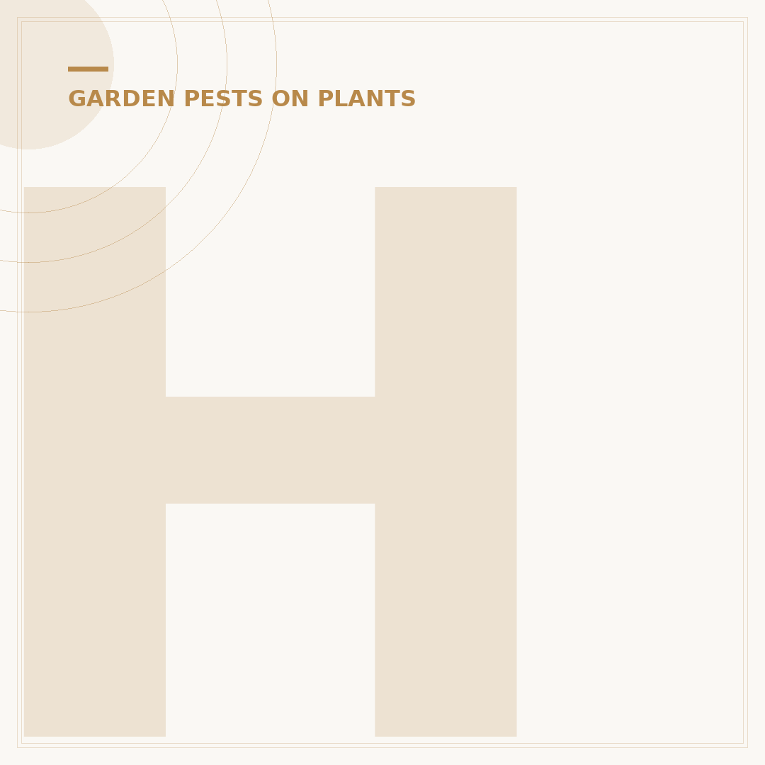 How To Get Rid Of Thrips On Your Plants