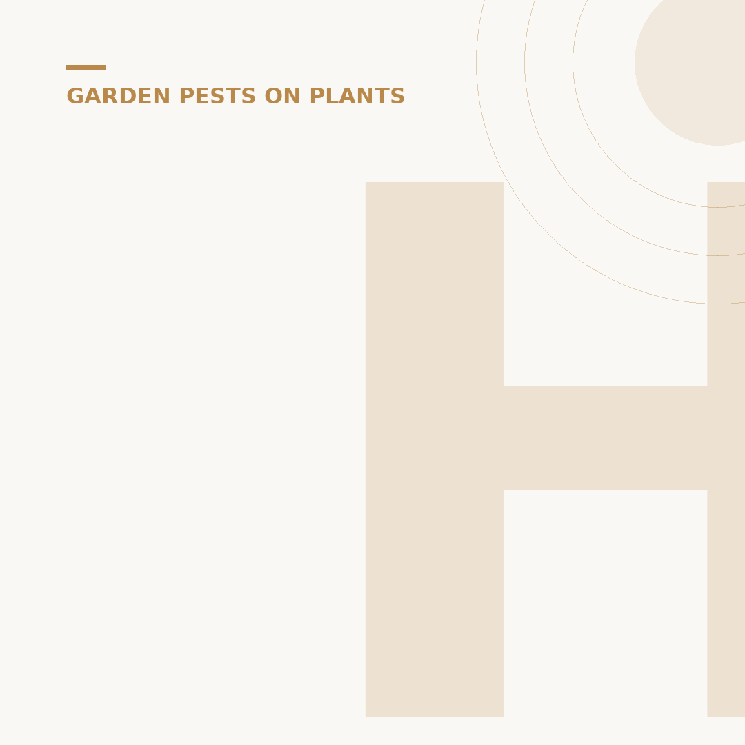 How to Get Rid of Scale Insects on Plants