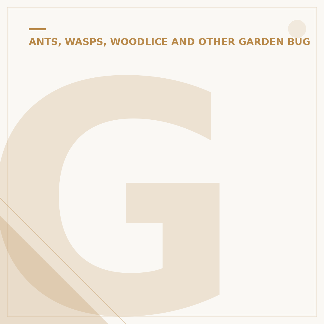 Giant Woodlice: Deep Sea Survivors