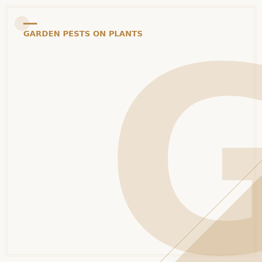 Glasshouse Red Spider Mite Control & Prevention