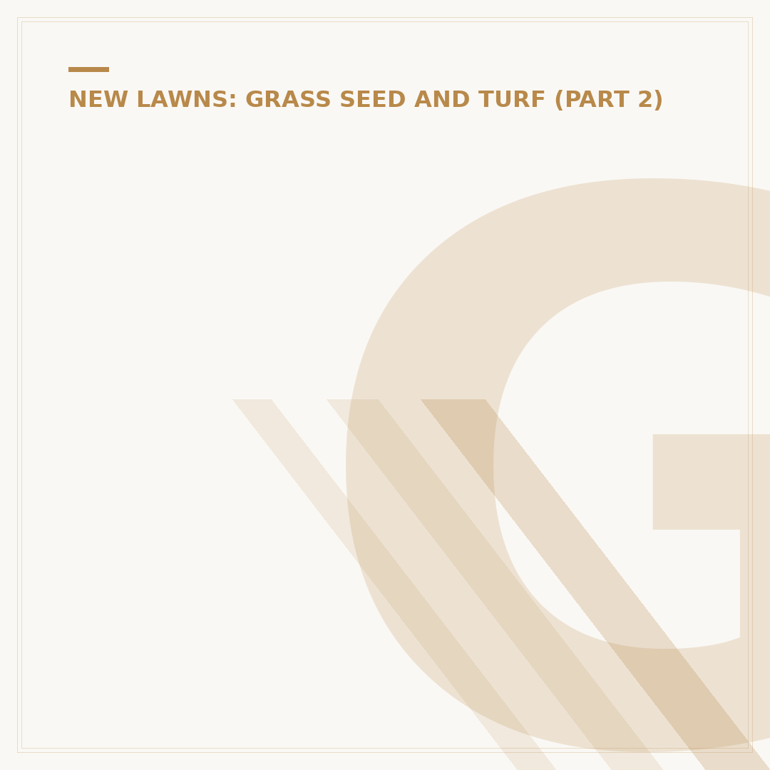 Grass Seed After 2 Weeks: What to Expect & Care