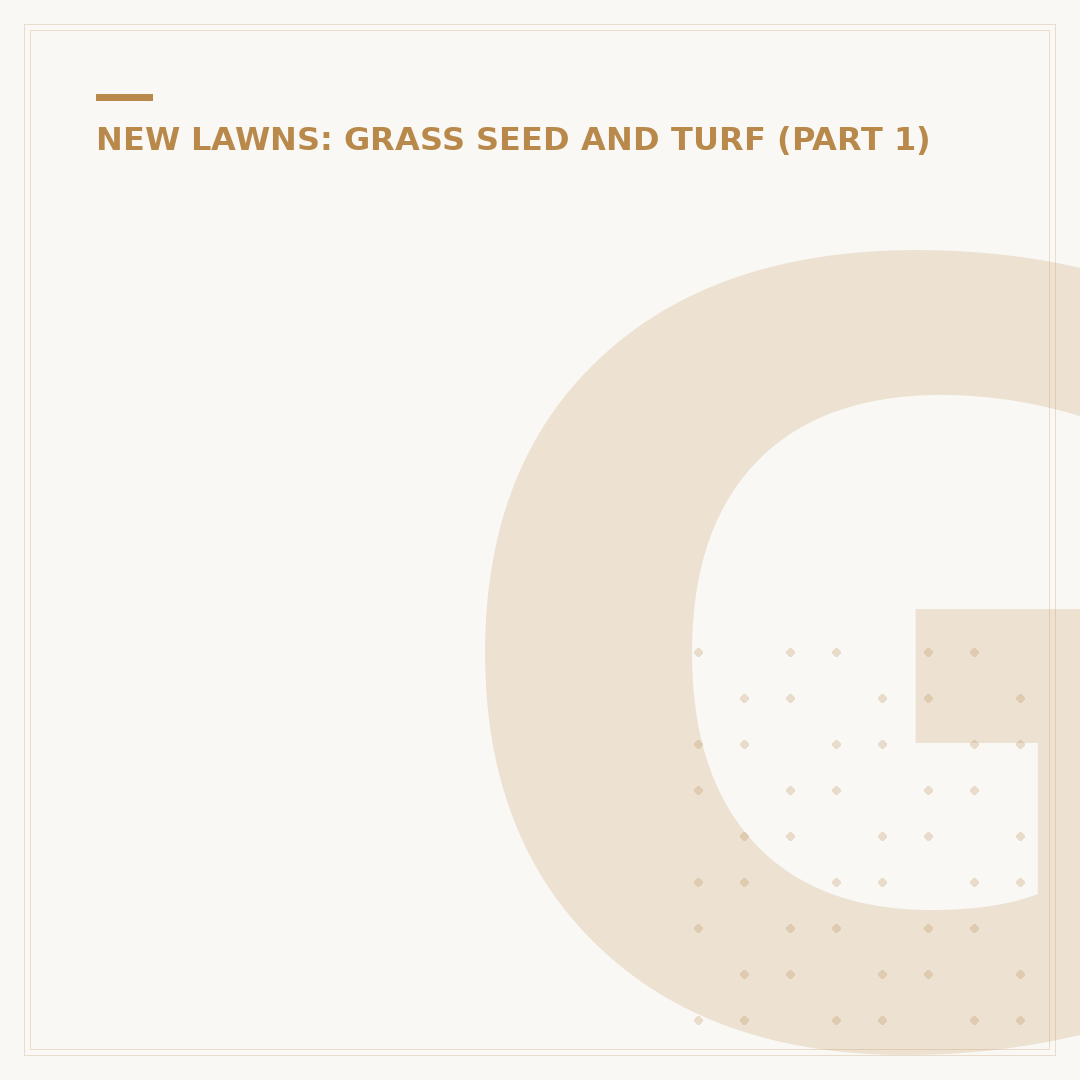 Grass Seed in Dog Paw: Causes, Risks, and Removal
