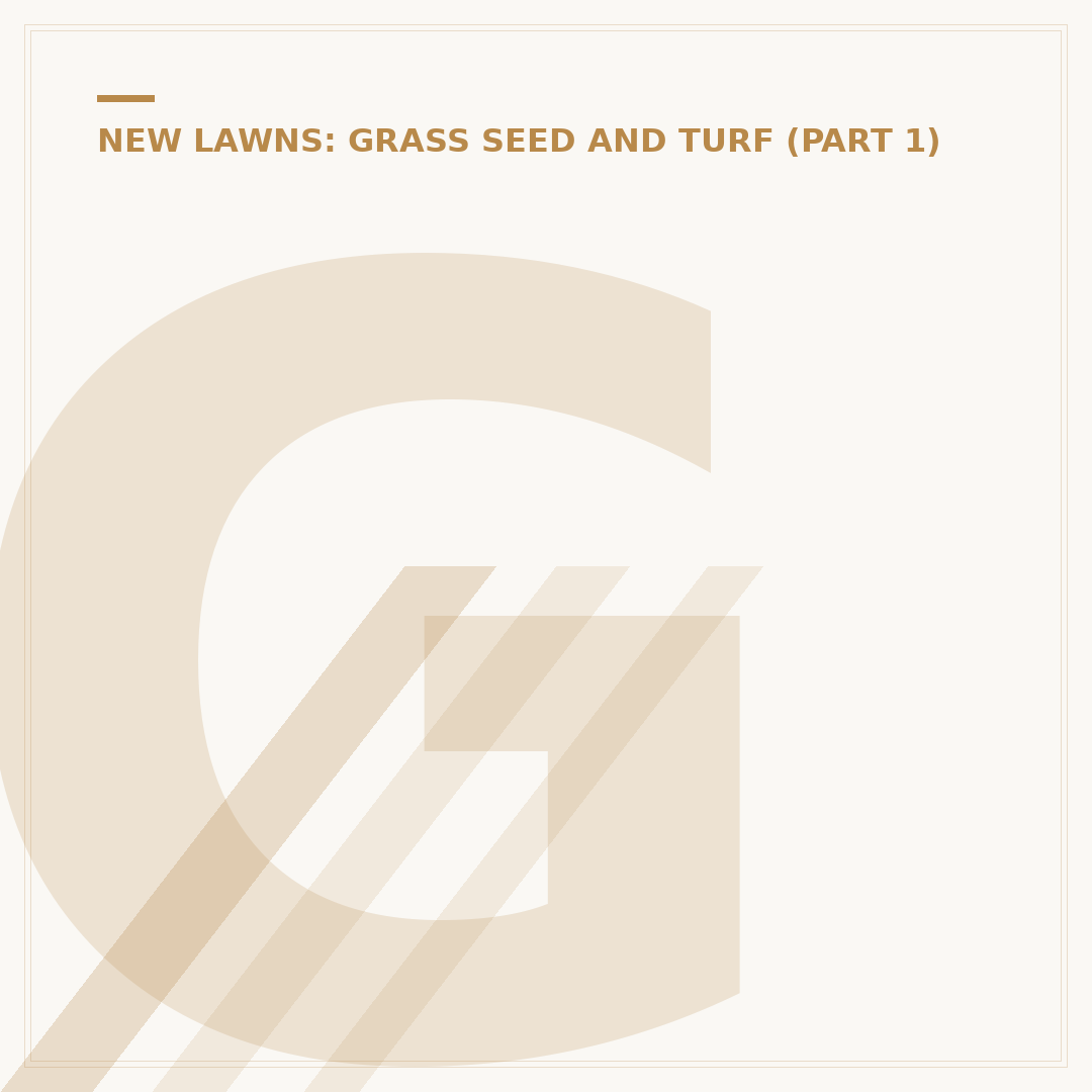 Grass Seed for Dogs: Repairing Lawn Damage