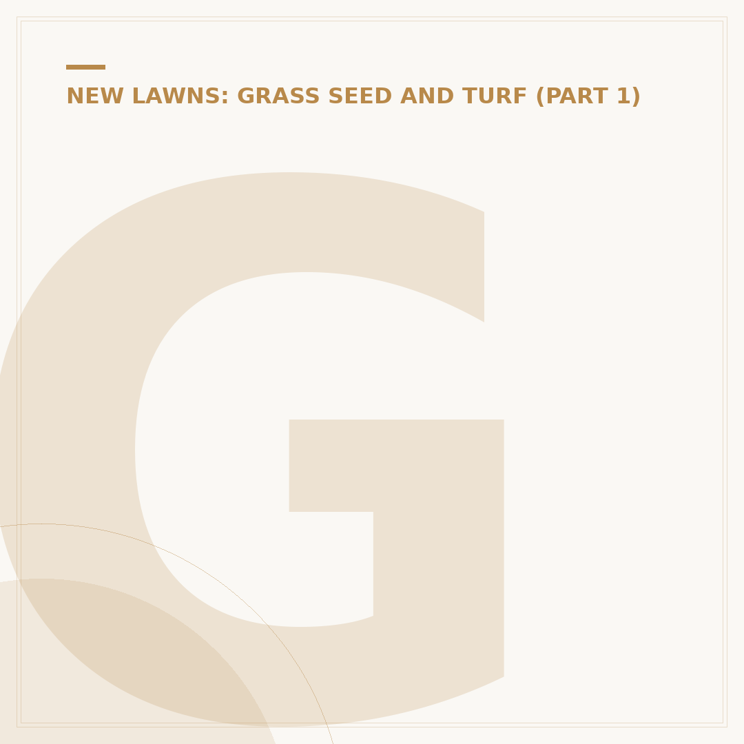 Grass Seed Overseed: Techniques & Alternatives Explained