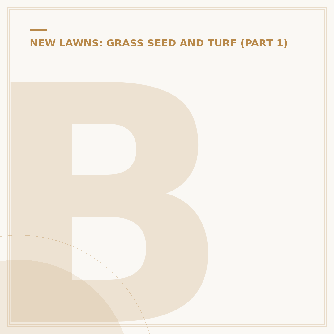 Best Grass Seed for Overseeding in the UK