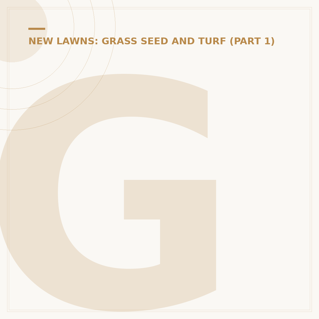 Great Grass Seed for a Lush Lawn
