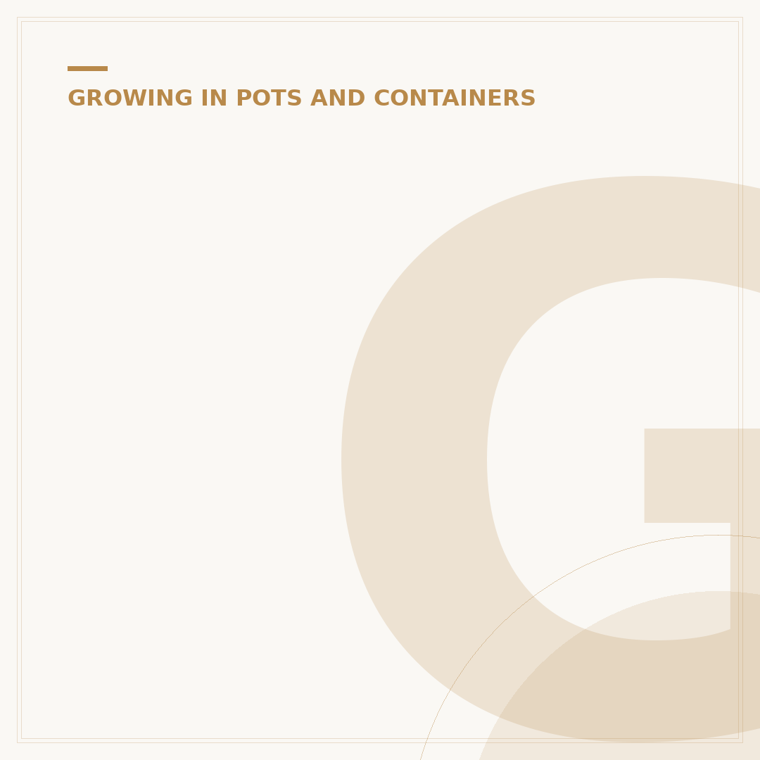 Great Plants for Containers: Vibrant Choices for Patios