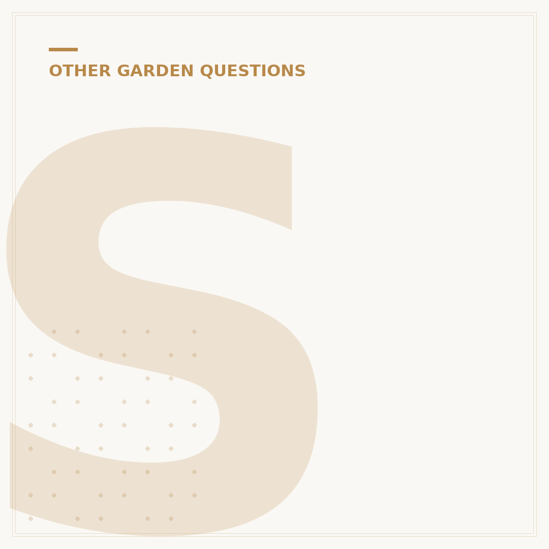 Shaded Area Plants: Green Choices for Low Light